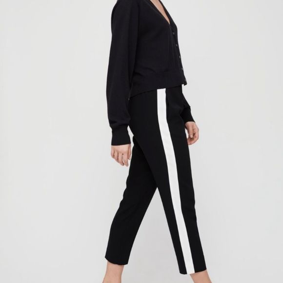 Aritzia Pants - BABATON Conan pants 10